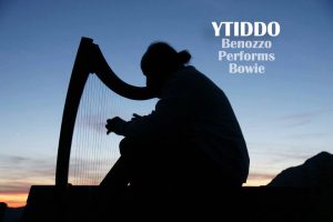 Bowie appuntamenti settembre 2018