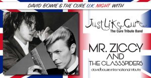Bowie appuntamenti febbraio 2019