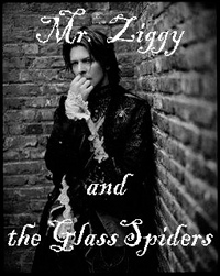 mrziggy glassspider2008