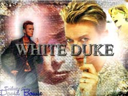 whiteduke tributeband