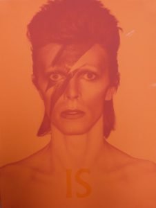 David Bowie is V&A Libri su David Bowie