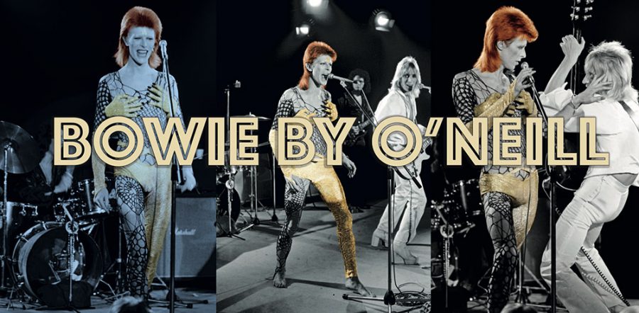 bowie by o'neill