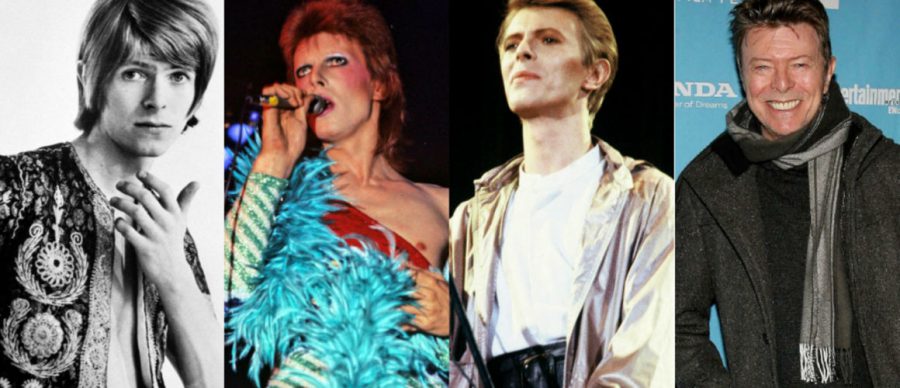 bowie festival dei popoli firenze