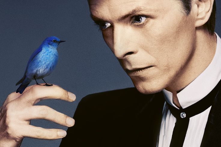 david bowie anniversario