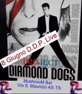 Bowie appuntamenti giugno 2019