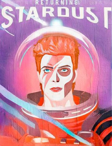 David Bowie Cheap Festival Icons 15