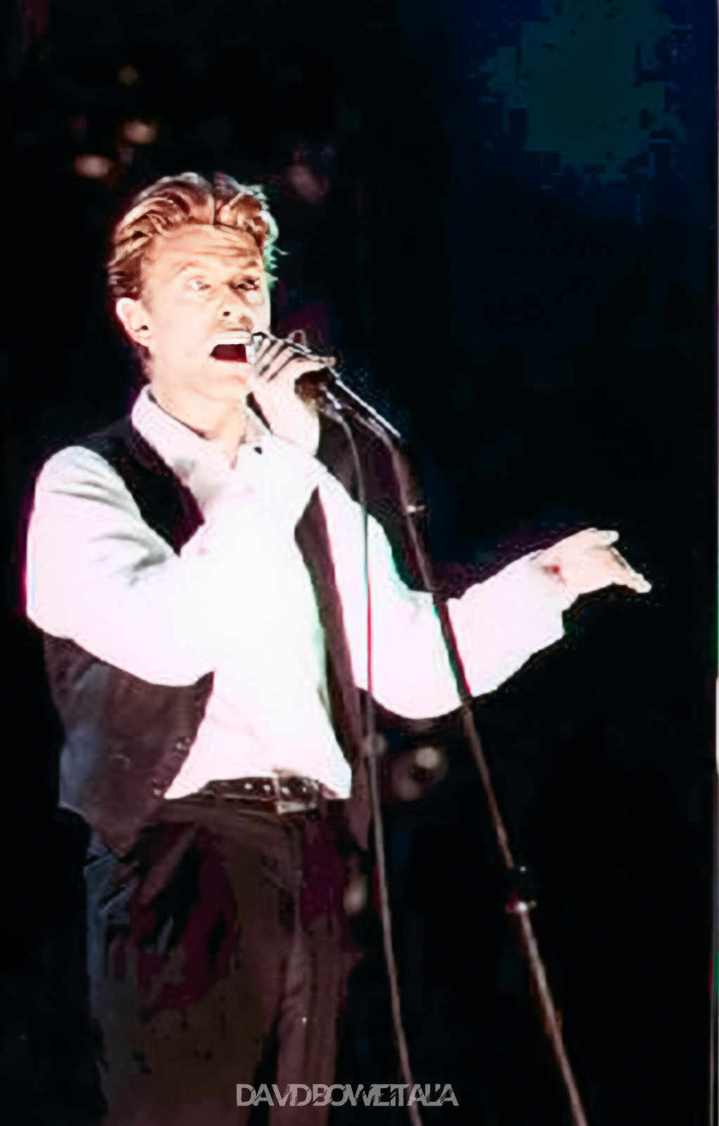 Bowie concerto 1990