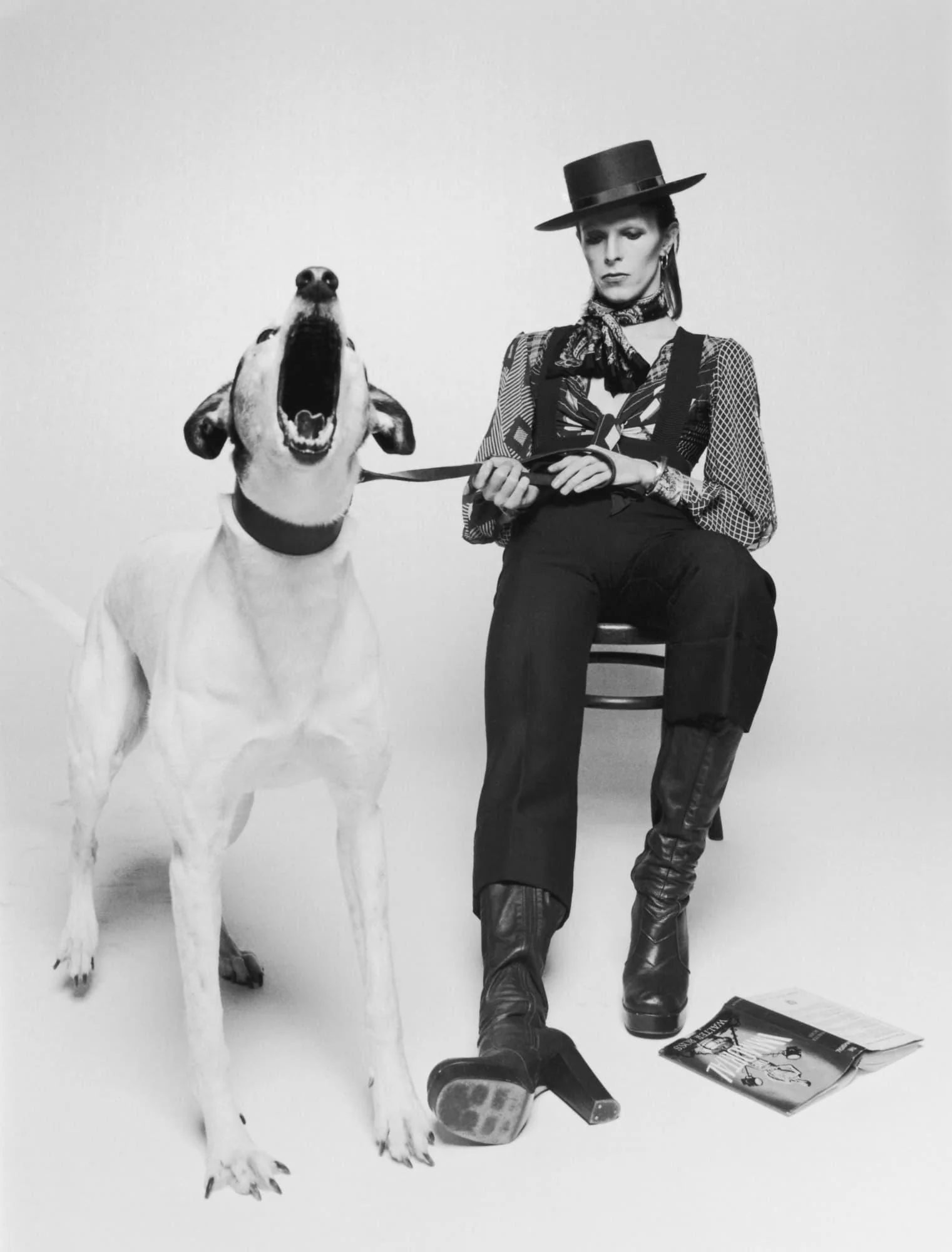 David Bowie Diamond Dogs Terry O'Neill Cane