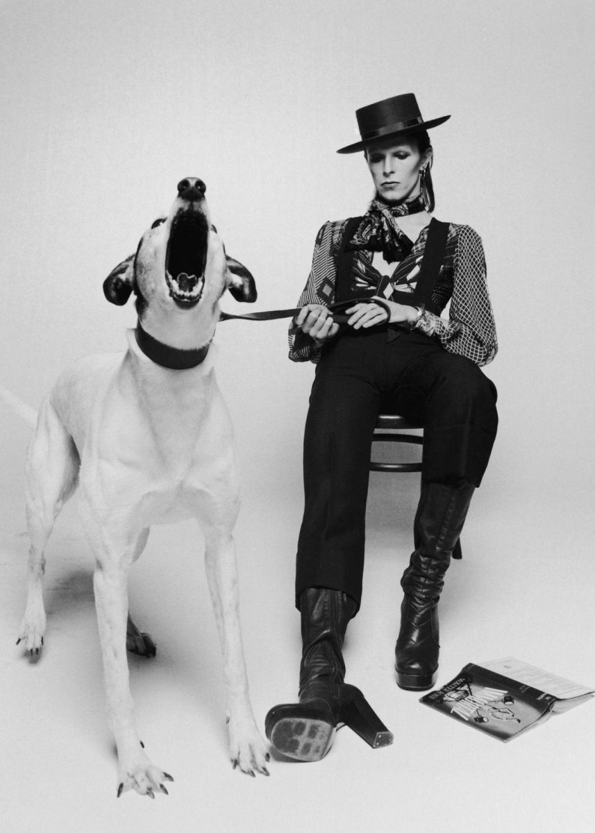 Rebel Rebel: van Hove torna a Bowie con un nuovo musical 4 David Bowie Diamond Dogs Leash 1