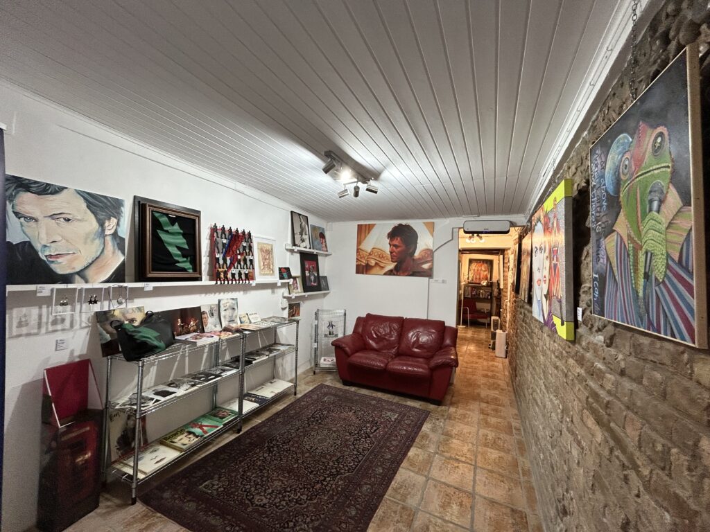 Hello Starman! A Parma venti artisti rileggono Bowie 2 Hello Starman Mostra Bowie Parma Interno Galleria