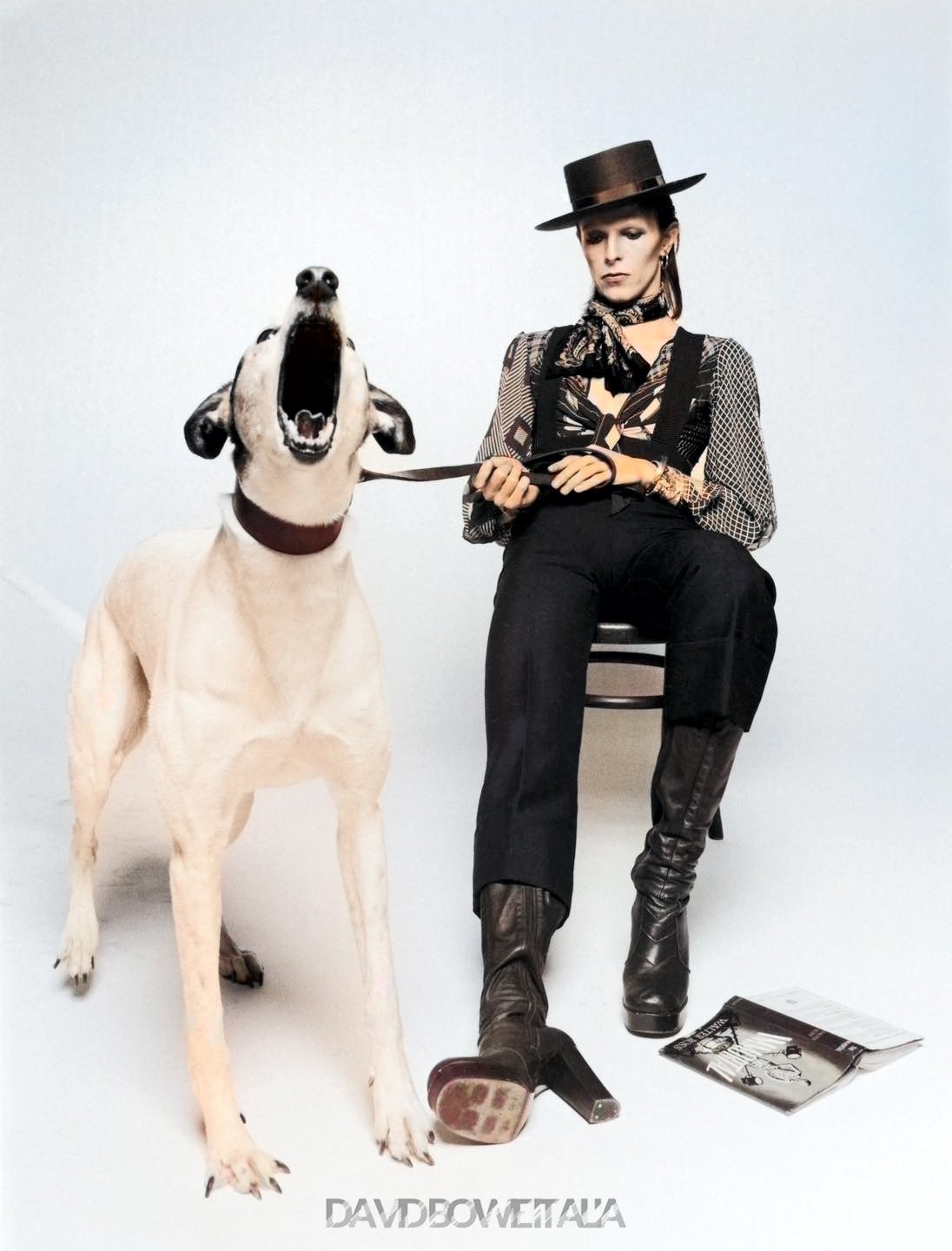 Diamond Dogs: ululati dal futuro 26 David Bowie seduto accanto al cane che salta, nel servizio fotografico di Terry O’Neill per Diamond Dogs, 1974