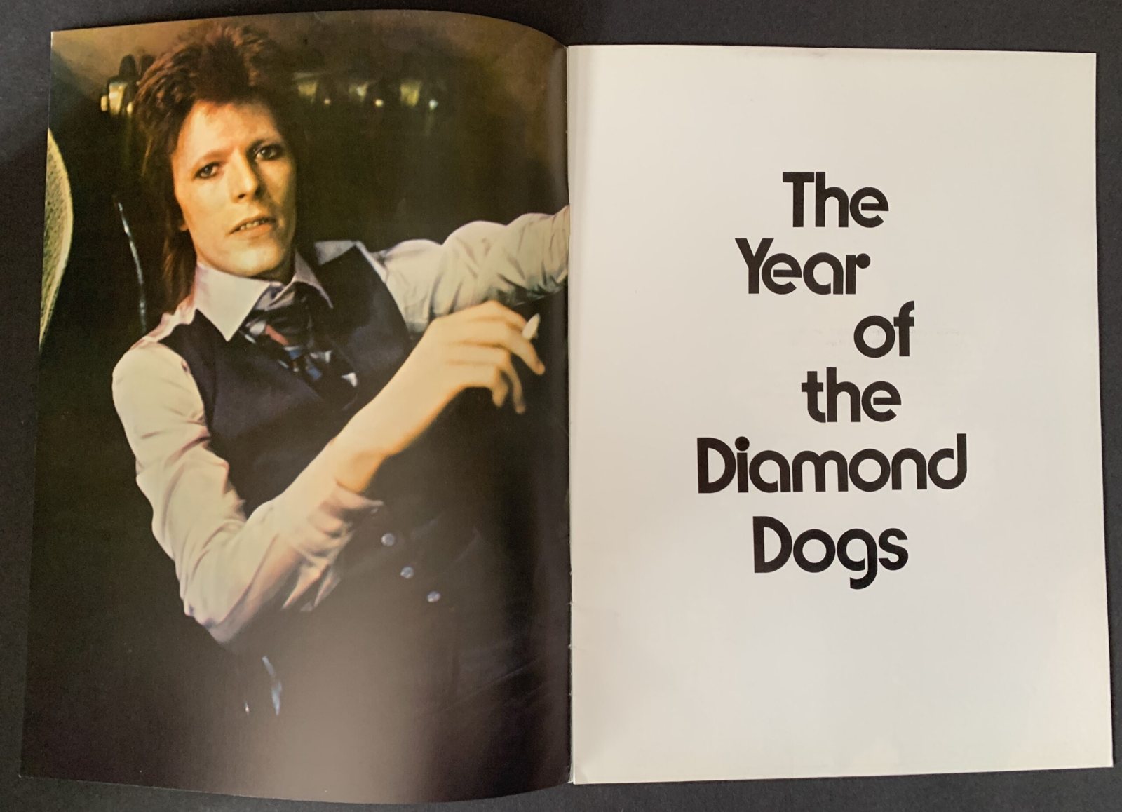 Diamond Dogs: ululati dal futuro 65 Pagina del programma del tour con il titolo The Year of the Diamond Dogs e un ritratto di David Bowie