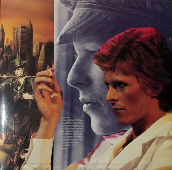 Diamond Dogs: ululati dal futuro 121 Diamond Dogs, LP EMI italiano del 1990: la busta interna, altro lato