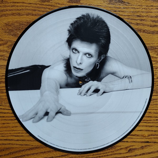 Diamond Dogs: ululati dal futuro 152 Diamond Dogs, edizione dei 50 anni, 2024: il picture disc, lato B