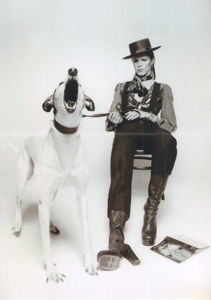 Diamond Dogs: ululati dal futuro 153 Diamond Dogs, edizione dei 50 anni, 2024: il poster del picture disc