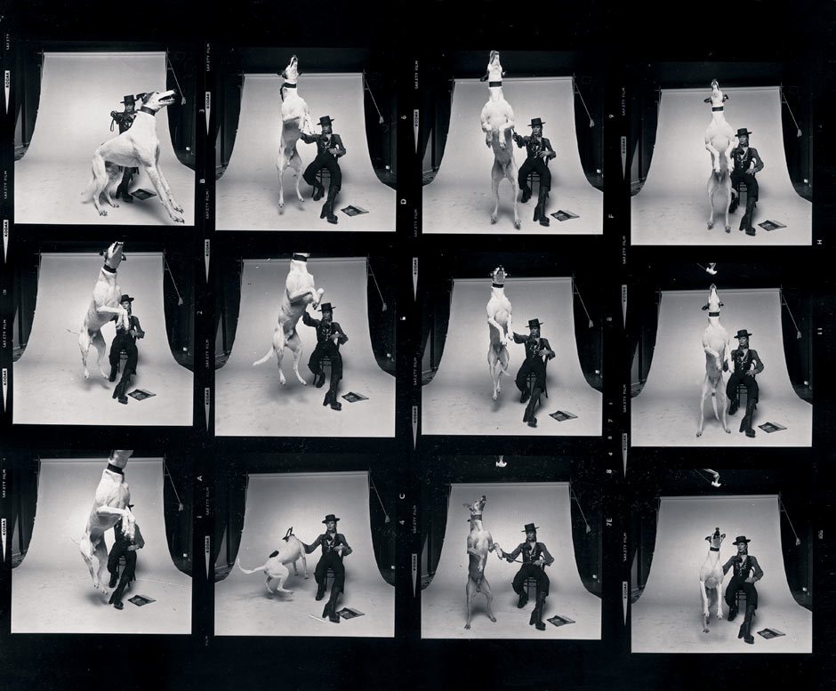 Diamond Dogs: ululati dal futuro 27 Provino a contatto del servizio fotografico di David Bowie con il cane per Diamond Dogs